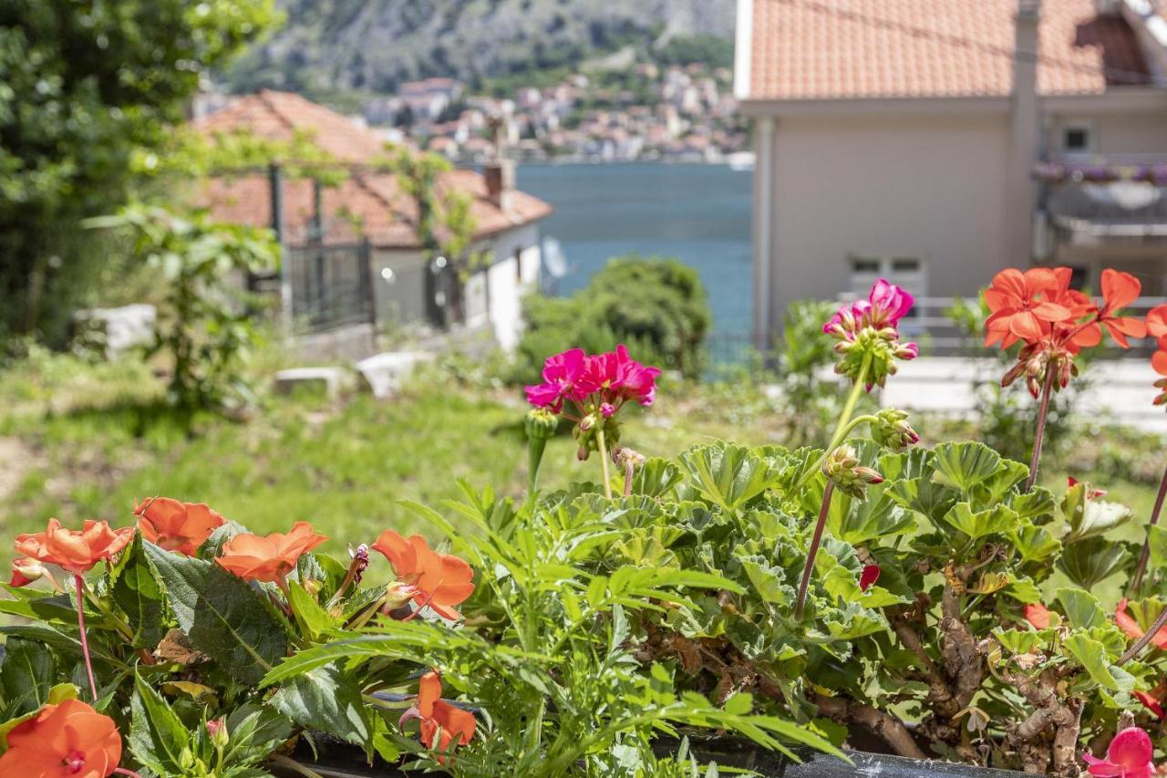 Muo Sea Front Apartments Kotor Luaran gambar